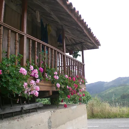 Ashram De La Peral *